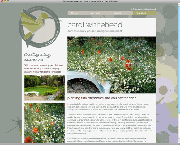 carol-whitehead-website-buzz